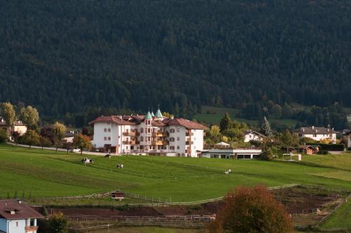 

Hotel Rosa Resort