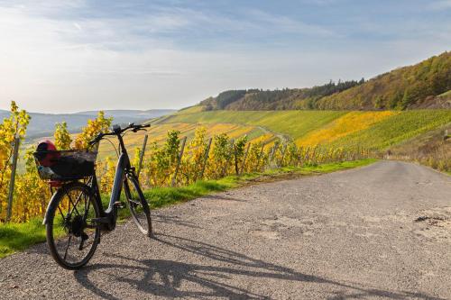 運動及活動, Ferienwohnungen zum Goldgräber - Stilvoll wohnen - Parkplatz - Perfekt für Moselurlaub (Ferienwohnungen zum Goldgraber - Stilvoll wohnen - Parkplatz - Perfekt fur Moselurlaub) in 貝恩卡斯特爾-庫斯
