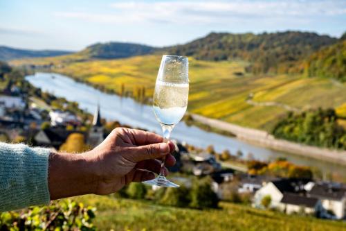 景觀, Ferienwohnungen zum Goldgräber - Stilvoll wohnen - Parkplatz - Perfekt für Moselurlaub (Ferienwohnungen zum Goldgraber - Stilvoll wohnen - Parkplatz - Perfekt fur Moselurlaub) in 貝恩卡斯特爾-庫斯