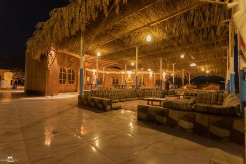 The Sea side camp nuweiba in Nuweiba