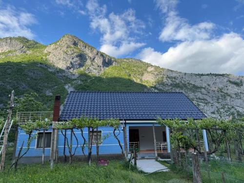 Bujtina Turkaj in Lëpushë