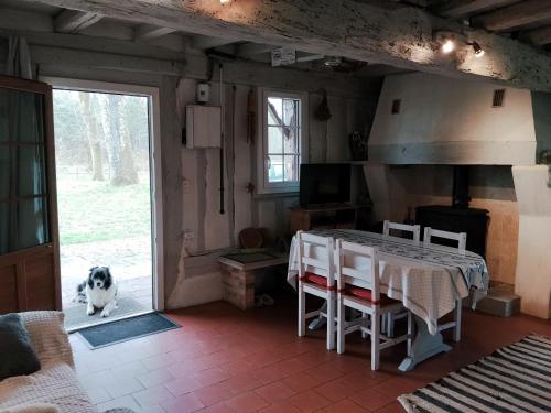 Maison landaise typique sur grand airial in Lencouacq