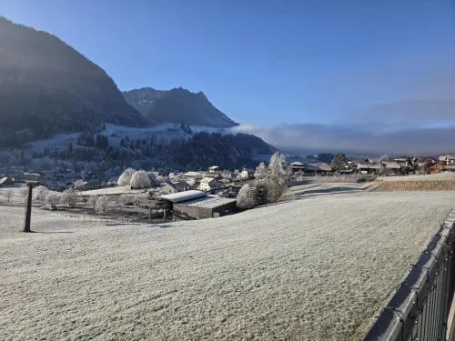 Résidence Bellevue - Hôtel et Studios in Charmey, Schweiz