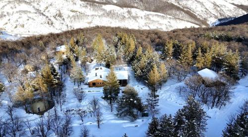 Apkārtne, Anima Resort Aghveran - Forest Retreat in Agverana