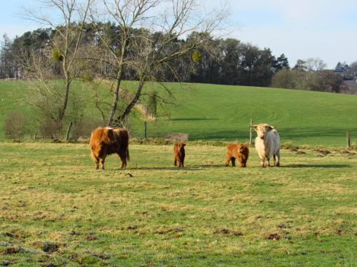 景觀, Landhaus de Bel in 拉卡拉米訥