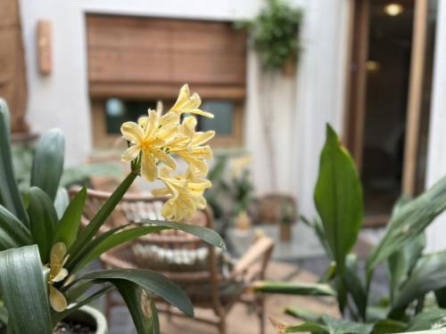 Montroig 5 hotel boutique 5