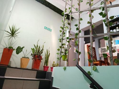 Hotel AEROPUERTO Jujuy in 페리코