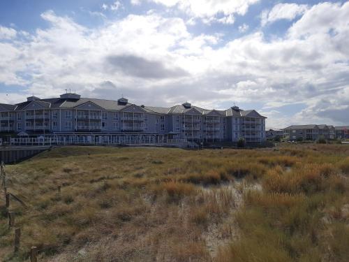 Meereszauber mit Strandkorb in der Saison in Heiligenhafen