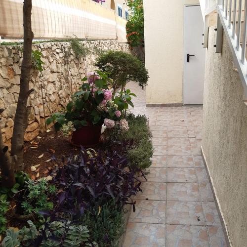 Apartment Ružica - image 2