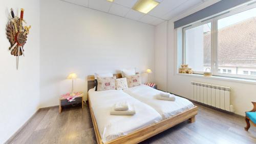 Les Tilleuls - Location saisonnière - Colmar