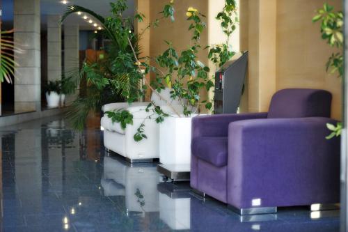 Hotel Nadal - image 6