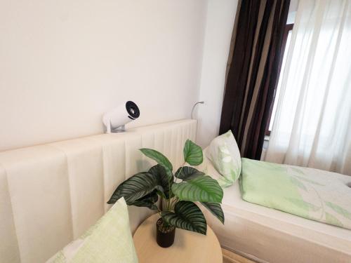 2 bedrooms, 6 beds