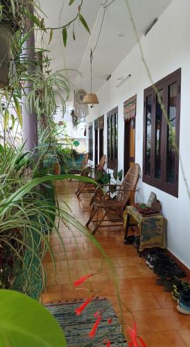 Mountain View Homestay in 帖卡迪