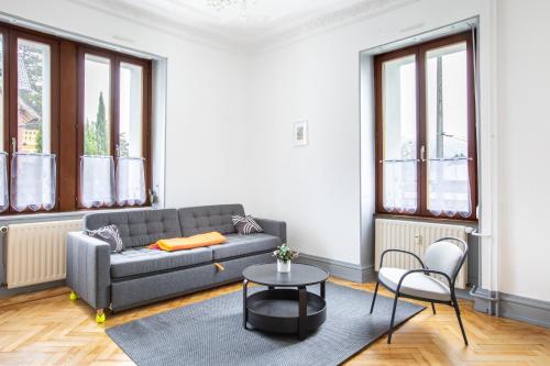 T3 RDC plein sud lumineux - Location saisonnière - Altkirch