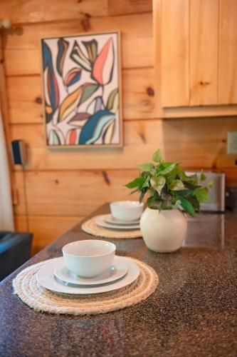 Elise Cabin Forest Retreat 5 Mins To Downtown in Chattanooga, USA