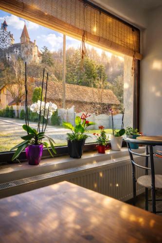 Casa Krista in بران