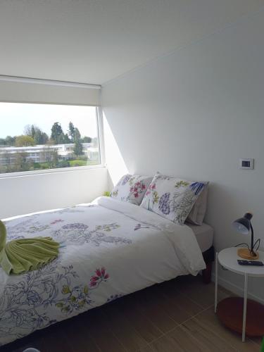 Apartamento tipo estudio Isla Teja