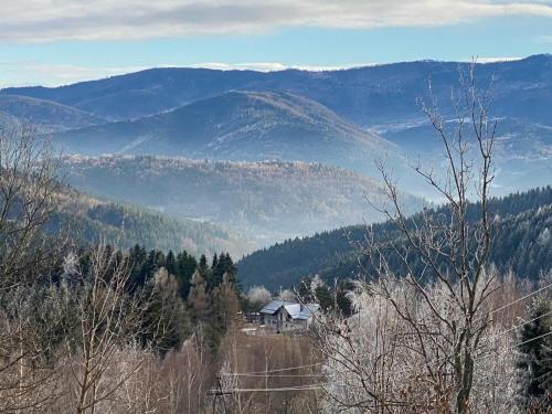Apartament Buldog in Skawica