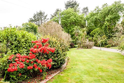 Lis-Ardagh Lodge - image 10