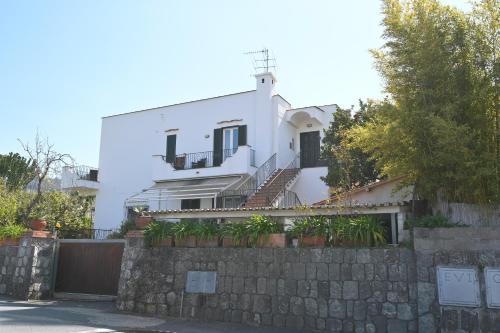 Don Giorgio Studios