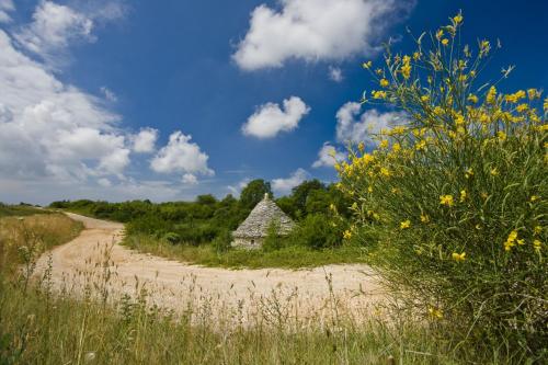 Casa Nora in centre of Vodnjan - Happy Rentals - image 4