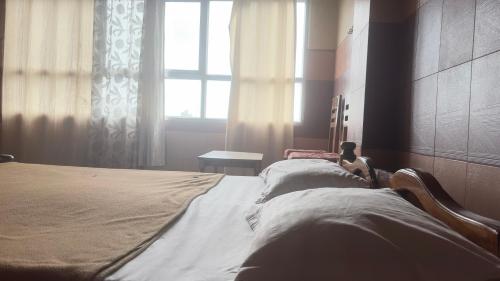Vega tourist lodge photo 2
