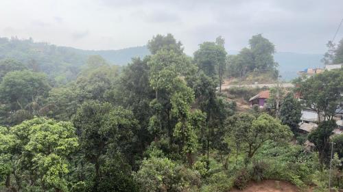 Vega tourist lodge photo 5