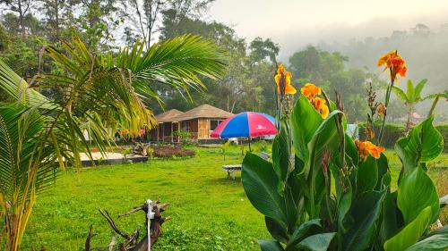 Sky Eco Resort in Dhoapalong