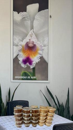 hostal orquideas de auri in Necocli
