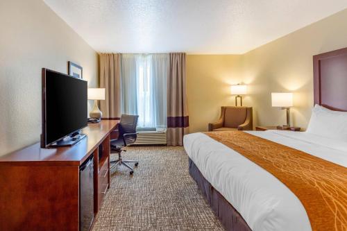 Comfort Inn DeKalb - Adjacent the University - image 25