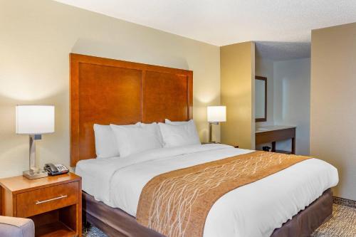 Comfort Inn DeKalb - Adjacent the University - image 30