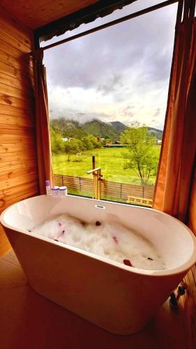 Borjomi inn Cottages - Accommodation - Borjomi