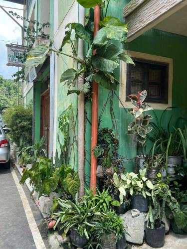Banaue Greenfield Inn and Restaurant - 숙소 외관