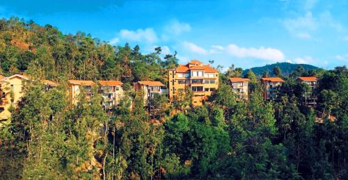 Oxygen Resorts - Thekkady