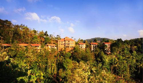 Oxygen Resorts - Thekkady