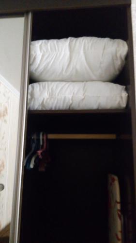 Apartment Lenina 3kA