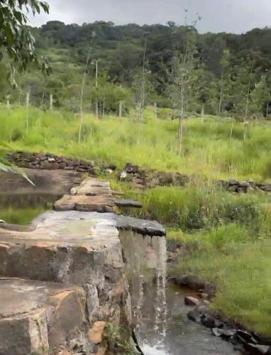 Apkārtne, Hemavanam Forest Resort in Ariyurnadu