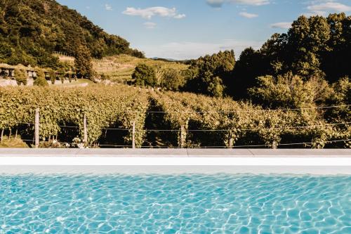 Apkārtne, Villa Fabiani, Historic Wine Estate, Štanjel (Villa Fabiani, Historic Wine Estate, Stanjel) in Stanjel