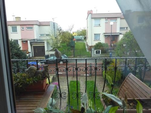 Erkély/terasz, Ubytovani Irena in Benesov