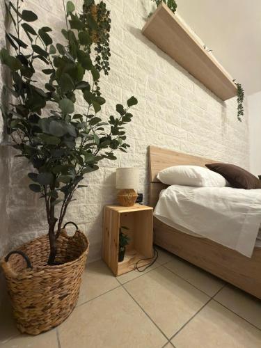 Il Terra Cielo Apartment 4