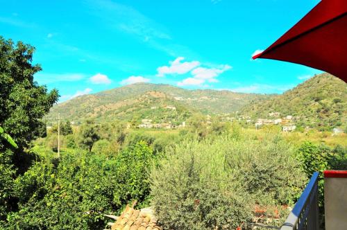 花園, Al Vico dei Limoni in 聖阿萊肖西庫洛