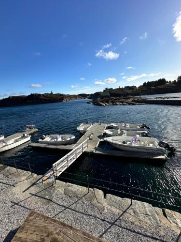 Heggøy rorbuer in Alveim