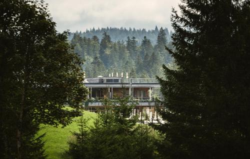 . Das Kranzbach
