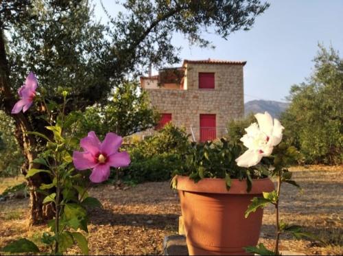 Helios-Selene Villa gîte à louer Peloponnisos