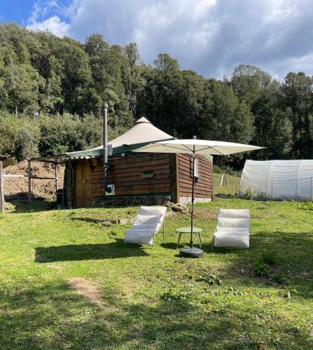 Cabane 2 gîte à louer Forciolo