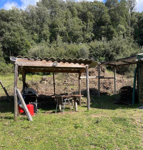 Cabane 2 2