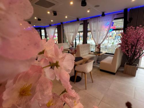 Hotel Cataleya in อัลเมีย์