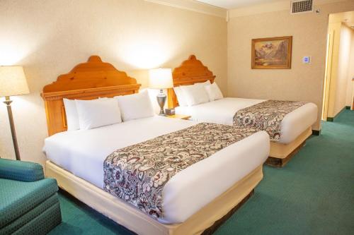 Bavarian Inn Lodge - image 44