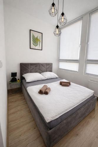 1 double bed, 1 sofa bed