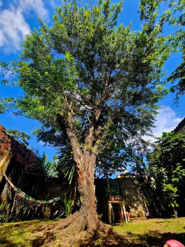 Casa 37 - Guesthouse – khách sạn tại Santo Antonio